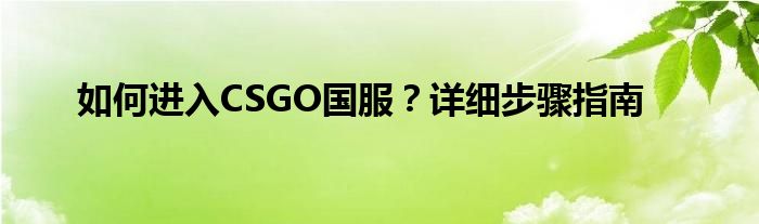 如何进入CSGO国服？详细步骤指南