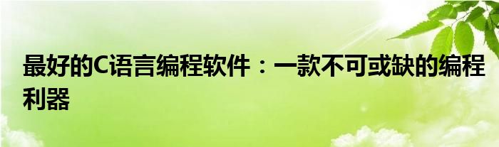 最好的C语言编程软件：一款不可或缺的编程利器