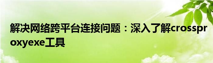 解决网络跨平台连接问题：深入了解crossproxyexe工具