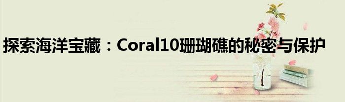 探索海洋宝藏：Coral10珊瑚礁的秘密与保护