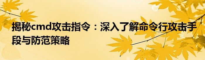 揭秘cmd攻击指令：深入了解命令行攻击手段与防范策略