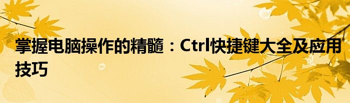 掌握电脑操作的精髓：Ctrl快捷键大全及应用技巧