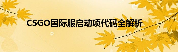 CSGO国际服启动项代码全解析