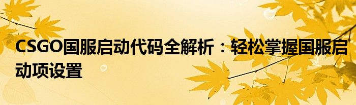 CSGO国服启动代码全解析：轻松掌握国服启动项设置