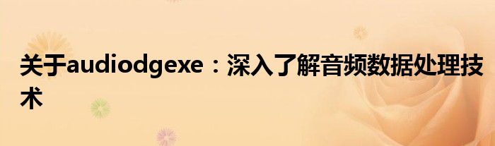 关于audiodgexe：深入了解音频数据处理技术