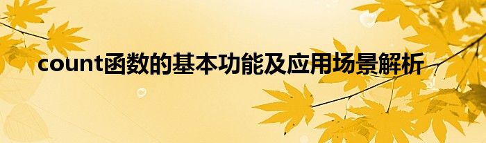 count函数的基本功能及应用场景解析