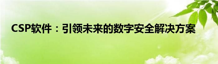 CSP软件：引领未来的数字安全解决方案