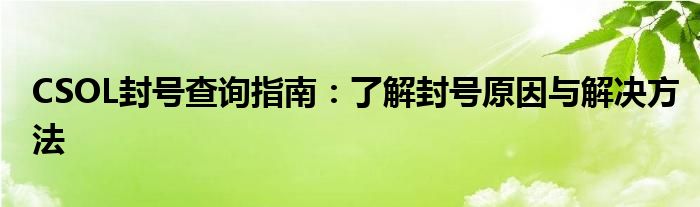 CSOL封号查询指南：了解封号原因与解决方法