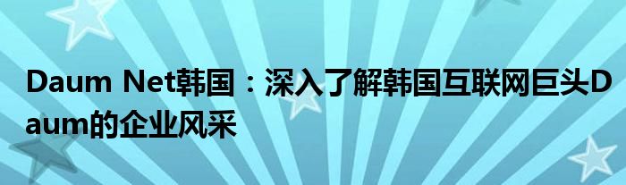 Daum Net韩国：深入了解韩国互联网巨头Daum的企业风采