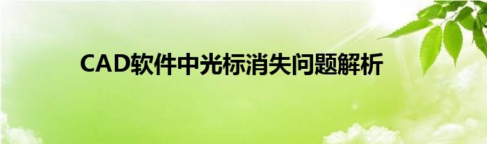 CAD软件中光标消失问题解析