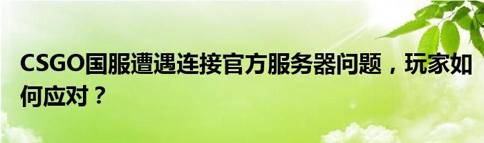 CSGO国服遭遇连接官方服务器问题，玩家如何应对？