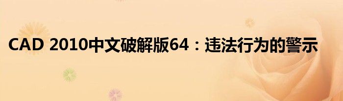 CAD 2010中文破解版64：违法行为的警示