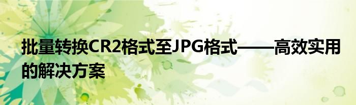 批量转换CR2格式至JPG格式——高效实用的解决方案