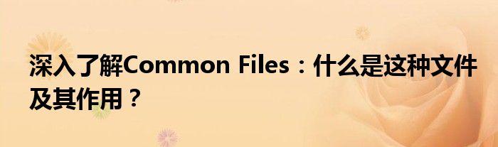 深入了解Common Files：什么是这种文件及其作用？