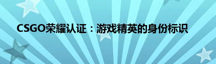 CSGO荣耀认证：游戏精英的身份标识