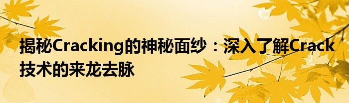 揭秘Cracking的神秘面纱：深入了解Crack技术的来龙去脉