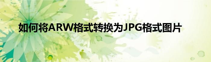 如何将ARW格式转换为JPG格式图片