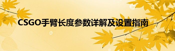 CSGO手臂长度参数详解及设置指南