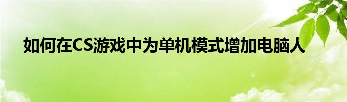 如何在CS游戏中为单机模式增加电脑人