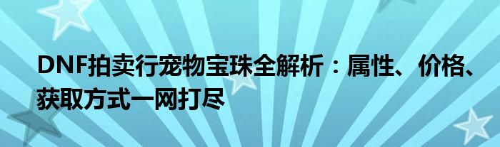 DNF拍卖行宠物宝珠全解析：属性、价格、获取方式一网打尽