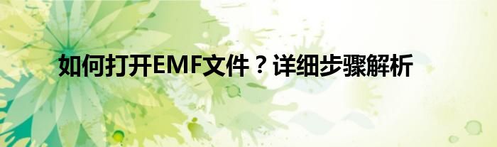 如何打开EMF文件？详细步骤解析