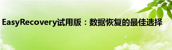 EasyRecovery试用版：数据恢复的最佳选择