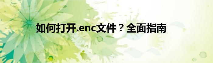 如何打开.enc文件？全面指南