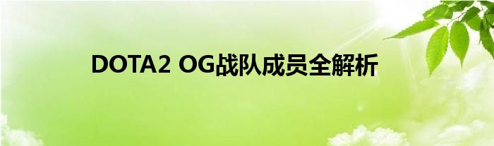 DOTA2 OG战队成员全解析