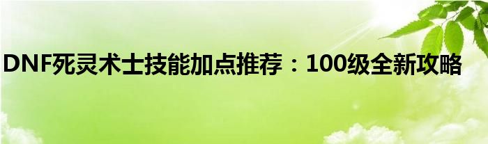 DNF死灵术士技能加点推荐：100级全新攻略