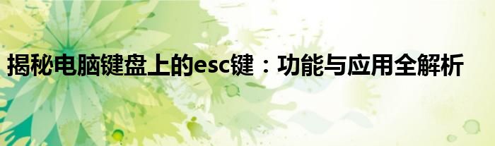 揭秘电脑键盘上的esc键：功能与应用全解析