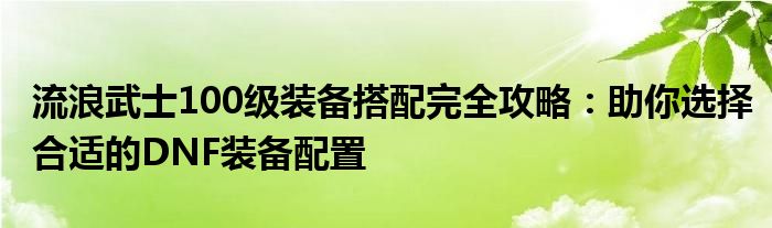 流浪武士100级装备搭配完全攻略：助你选择合适的DNF装备配置