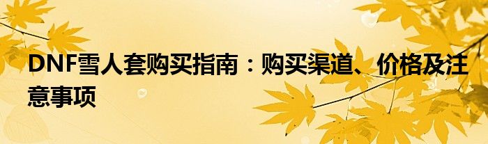 DNF雪人套购买指南：购买渠道、价格及注意事项