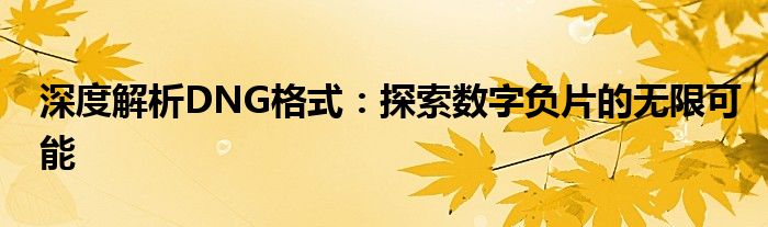 深度解析DNG格式：探索数字负片的无限可能