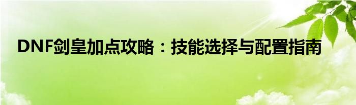 DNF剑皇加点攻略：技能选择与配置指南