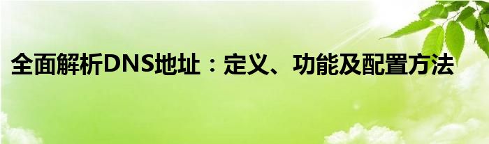 全面解析DNS地址：定义、功能及配置方法