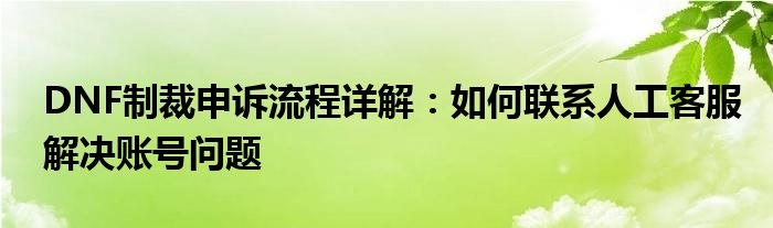 DNF制裁申诉流程详解：如何联系人工客服解决账号问题