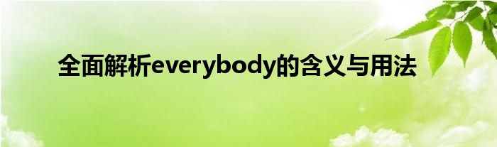 全面解析everybody的含义与用法