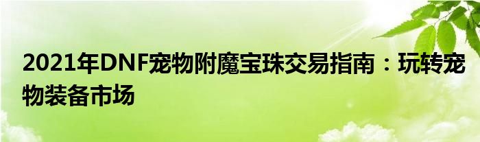 2021年DNF宠物附魔宝珠交易指南：玩转宠物装备市场