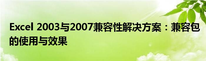 Excel 2003与2007兼容性解决方案：兼容包的使用与效果