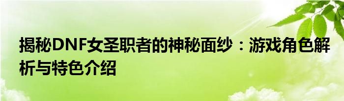 揭秘DNF女圣职者的神秘面纱：游戏角色解析与特色介绍