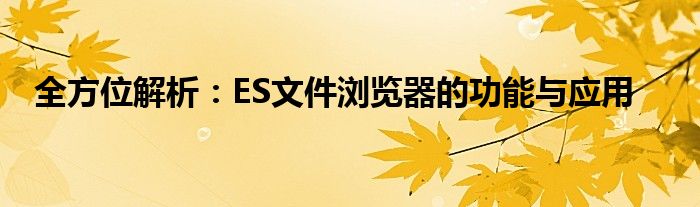 全方位解析：ES文件浏览器的功能与应用