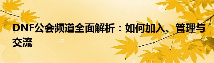 DNF公会频道全面解析：如何加入、管理与交流