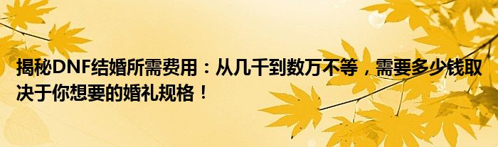 揭秘DNF结婚所需费用：从几千到数万不等，需要多少钱取决于你想要的婚礼规格！