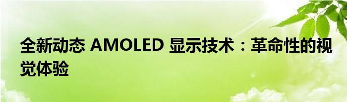 全新动态 AMOLED 显示技术：革命性的视觉体验