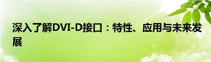 深入了解DVI-D接口：特性、应用与未来发展