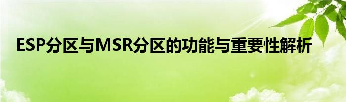 ESP分区与MSR分区的功能与重要性解析