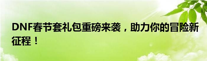 DNF春节套礼包重磅来袭，助力你的冒险新征程！