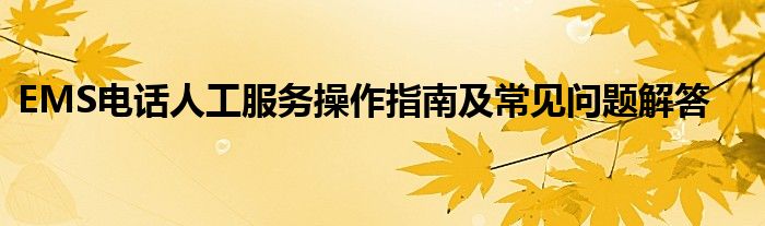 EMS电话人工服务操作指南及常见问题解答