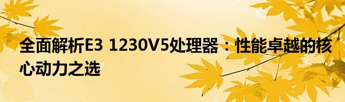 全面解析E3 1230V5处理器：性能卓越的核心动力之选