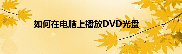 如何在电脑上播放DVD光盘